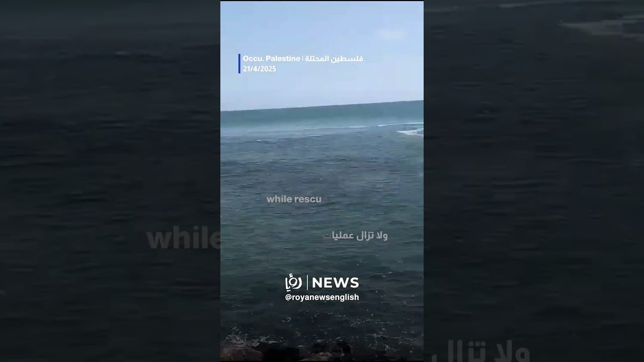 Shark attacks “Israeli” driver in Hadera, Haifa