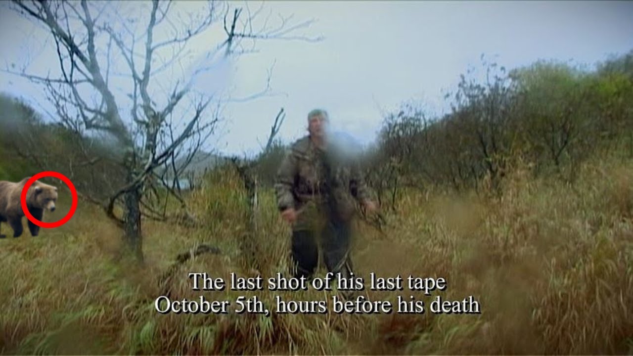 The HORRIFYING Final Moments Of Timothy Treadwell Were CAUGHT On Tape