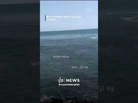 Shark attacks “Israeli” driver in Hadera, Haifa