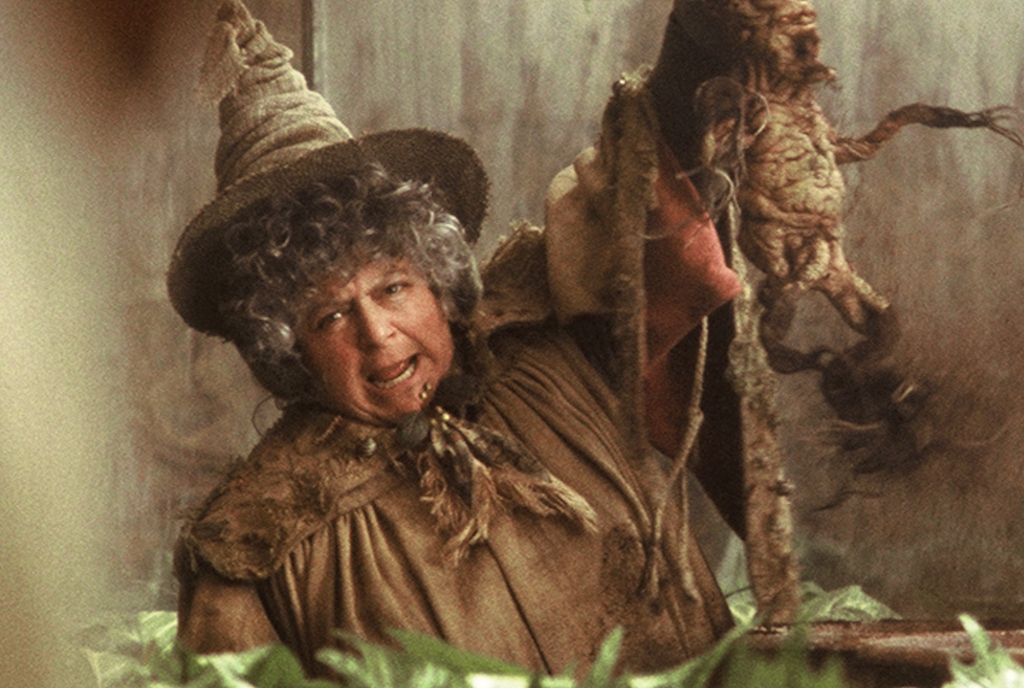 Miriam Margolyes played Professor Sprout in the iconic Harry Potter movie franchise.