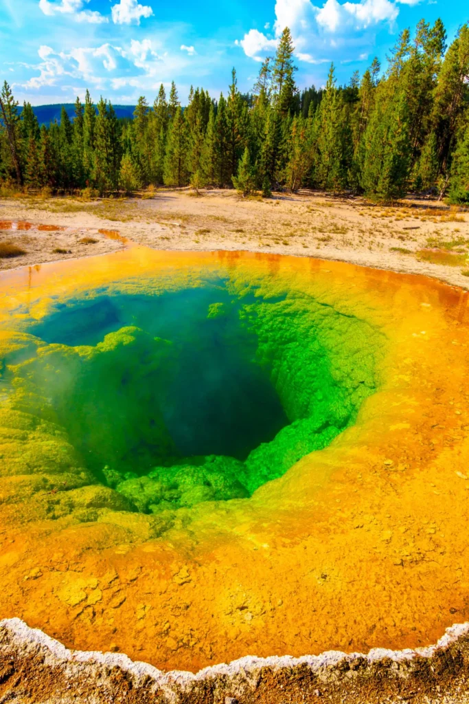 Morning Glory Pool Yellowstone National Park Scaled