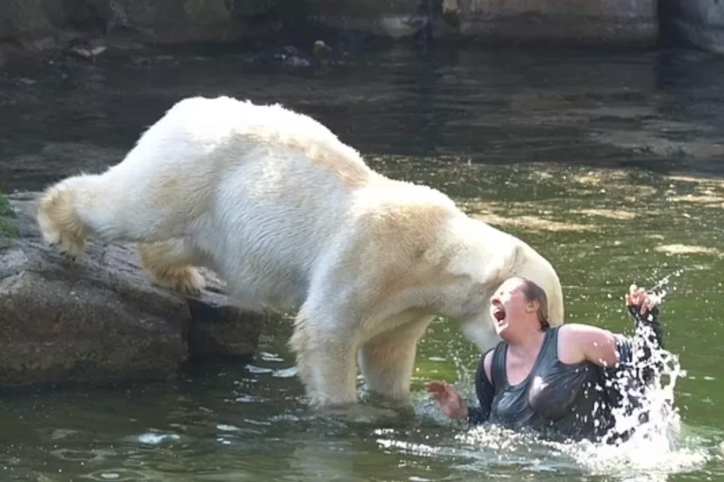 loud splash echoed through the zoo