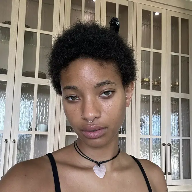 Willow Smith's comments on nepotism have divided opinion.