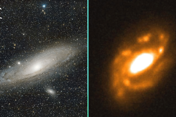 James Webb Finds Milky Way’s Ancient Twin